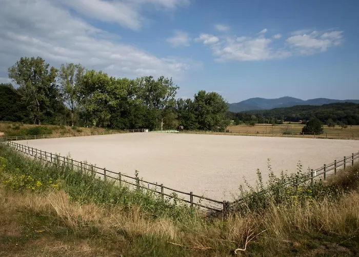 Oscar's * Soppe-le-Bas